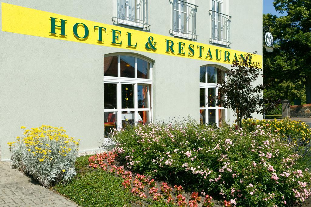 Hotel Goldener Fasan Ораниенбаум-Вёрлиц Экстерьер фото