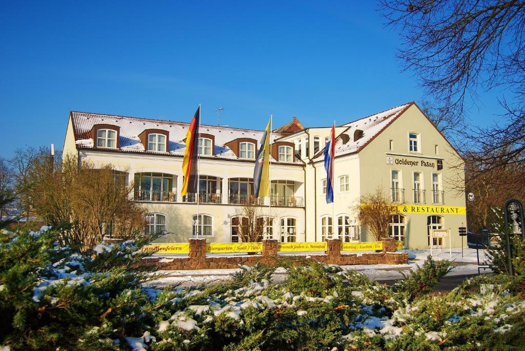 Hotel Goldener Fasan Ораниенбаум-Вёрлиц Экстерьер фото